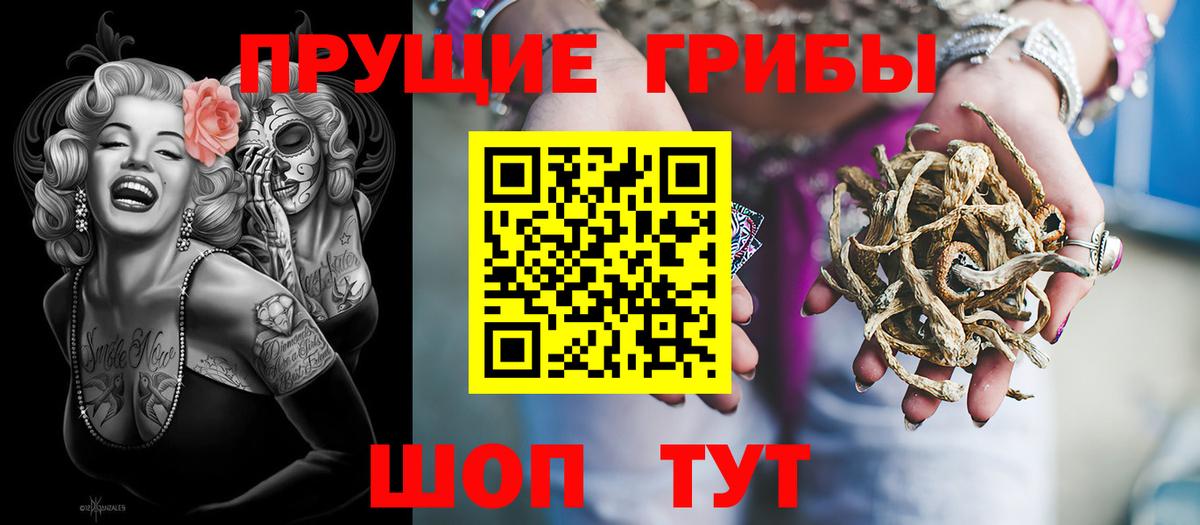 Вичуга  Псилоцибиновые грибы мицелий  Вход с VPN  Галлюциногенные грибы прущие грибы 